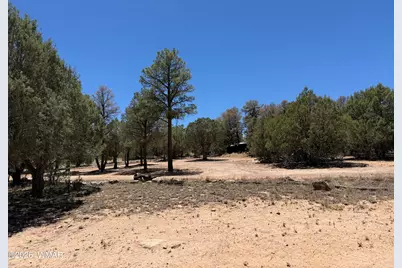 1849 Rocky Lane, Show Low, AZ 85901 - Photo 36