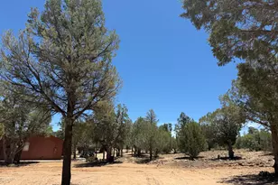 1849 Rocky Ln, Show Low, AZ 85901 - Photo 34