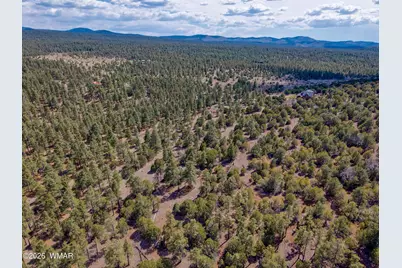 38 N1349, Vernon, AZ 85940 - Photo 70