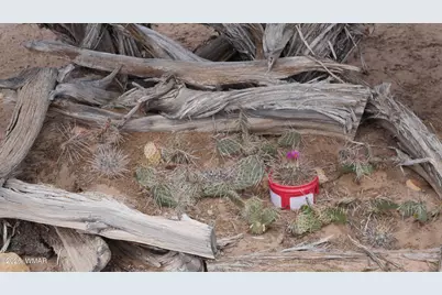 17 N7337, Saint Johns, AZ 85936 - Photo 10
