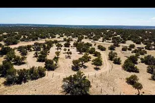 17 N7337, Saint Johns, AZ 85936 - Photo 1