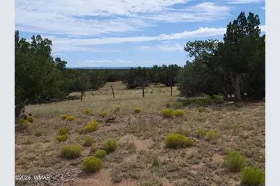 17 N7337, Saint Johns, AZ 85936 - Photo 18