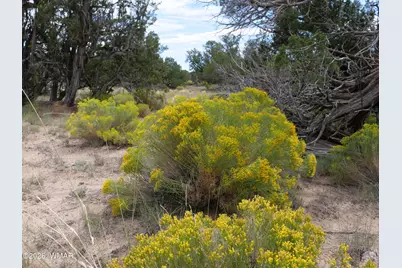 17 N7337, Saint Johns, AZ 85936 - Photo 16