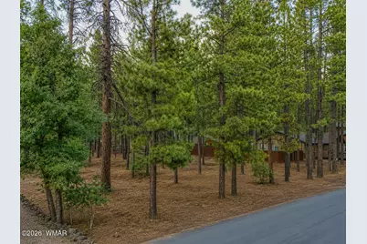 4266 Deep Forest Drive, Pinetop, AZ 85935 - Photo 2