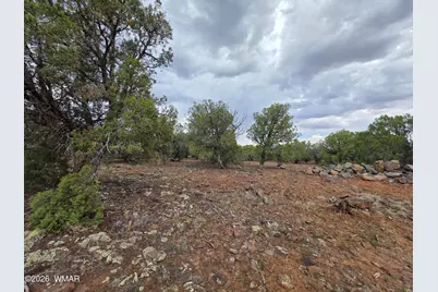 2075 Parker Ranch Road, Show Low, AZ 85901 - Photo 10