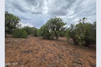 2075 Parker Ranch Road, Show Low, AZ 85901 - Photo 10