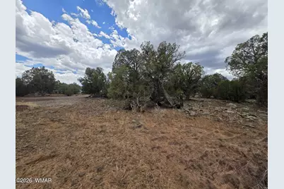 2075 Parker Ranch Road, Show Low, AZ 85901 - Photo 10