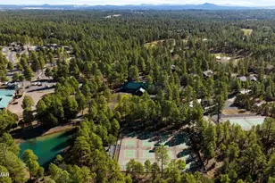 3050 W Black Oak Loop, Show Low, AZ 85901 - Photo 38