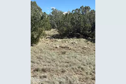 10 NE N8715, Concho, AZ 85924 - Photo 1