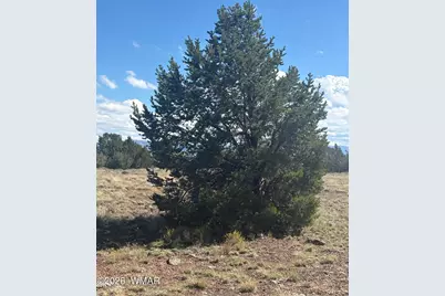 10 NE N8715, Concho, AZ 85924 - Photo 2