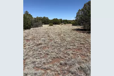 20 SE 8715 Road, Concho, AZ 85924 - Photo 4