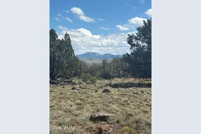 20 SE 8715 Road, Concho, AZ 85924 - Photo 2