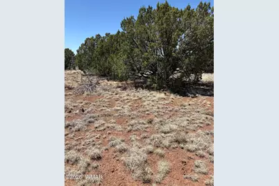 20 SE 8715 Road, Concho, AZ 85924 - Photo 1