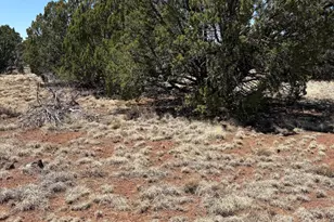 20 SE 8715 Rd, Concho, AZ 85924 - Photo 1