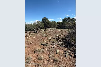 0201 County Road, Concho, AZ 85924 - Photo 4