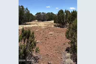 0201 County Road, Concho, AZ 85924 - Photo 2