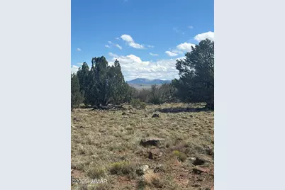 0201 County Road, Concho, AZ 85924 - Photo 1