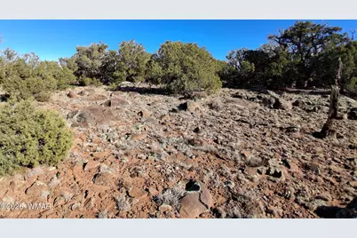 0202 County Road, Concho, AZ 85924 - Photo 1