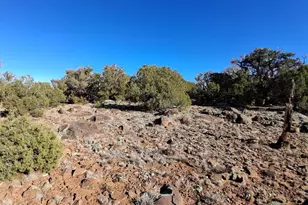 0202 County Rd, Concho, AZ 85924 - Photo 1