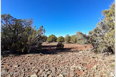 0202 County Road, Concho, AZ 85924 - Photo 2