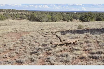 10 N9228, Concho, AZ 85924 - Photo 28