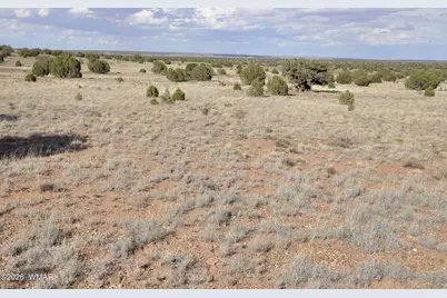 10 N9228, Concho, AZ 85924 - Photo 24