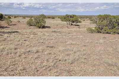 10 N9228, Concho, AZ 85924 - Photo 16