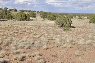 10 N9228, Concho, AZ 85924 - Photo 1