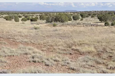 10 N9228, Concho, AZ 85924 - Photo 6
