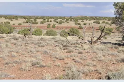 10 N9228, Concho, AZ 85924 - Photo 26