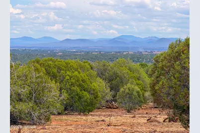 8063 Mustang Lane, Show Low, AZ 85901 - Photo 6