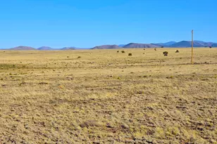 Lot 4 Cr 5074, Concho, AZ 85924 - Photo 1