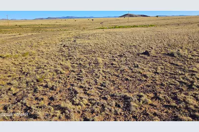 Lot 4 Cr 5074, Concho, AZ 85924 - Photo 2