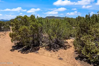6 County Rd 8021, Concho, AZ 85924 - Photo 16