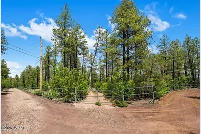Tbd E Sawmill Drive, Pinetop, AZ 85935 - Photo 20