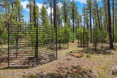 Tbd E Sawmill Drive, Pinetop, AZ 85935 - Photo 18