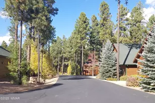 3032 Timber Line Rd, Pinetop, AZ 85935 - Photo 18