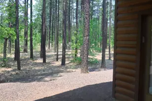 3032 Timber Line Rd, Pinetop, AZ 85935 - Photo 28