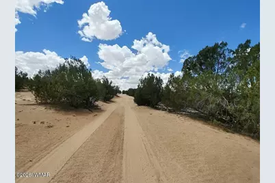 Lot 106 Witch Well Ranches, Unit 2 #2, Saint Johns, AZ 85936 - Photo 2