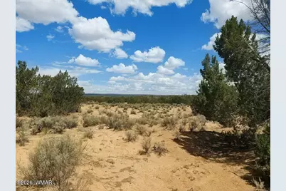 Lot 106 Witch Well Ranches, Unit 2 #2, Saint Johns, AZ 85936 - Photo 6