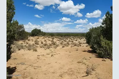 Lot 106 Witch Well Ranches, Unit 2 #2, Saint Johns, AZ 85936 - Photo 4