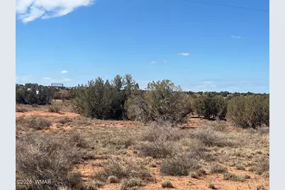 3170 Old Woodruff Road, Snowflake, AZ 85937 - Photo 4
