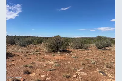 3170 Old Woodruff Road, Snowflake, AZ 85937 - Photo 8