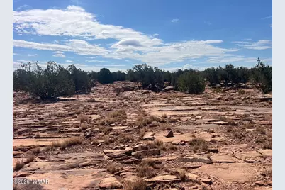3170 Old Woodruff Road, Snowflake, AZ 85937 - Photo 10