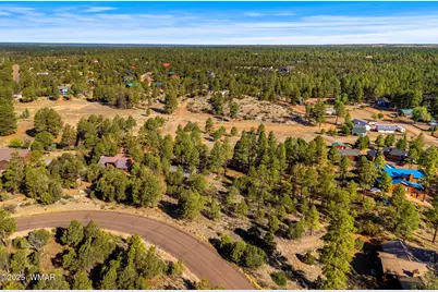 2794 Skyhawk Drive, Overgaard, AZ 85933 - Photo 6