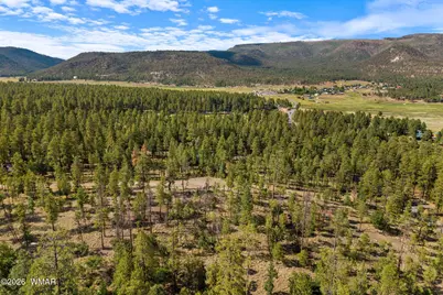 000 Cr 2193, Alpine, AZ 85920 - Photo 6