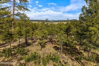 000 Cr 2193, Alpine, AZ 85920 - Photo 8