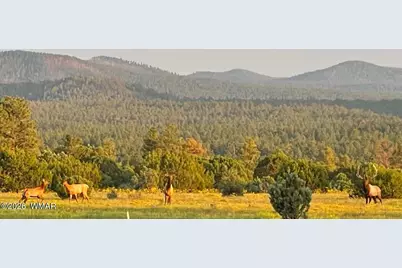 4 N 3163, Vernon, AZ 85940 - Photo 88