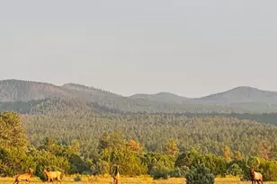 4 N 3163, Vernon, AZ 85940 - Photo 88
