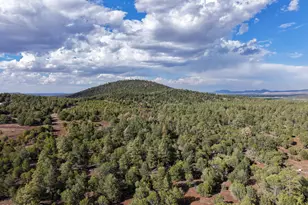 4 N 3163, Vernon, AZ 85940 - Photo 58